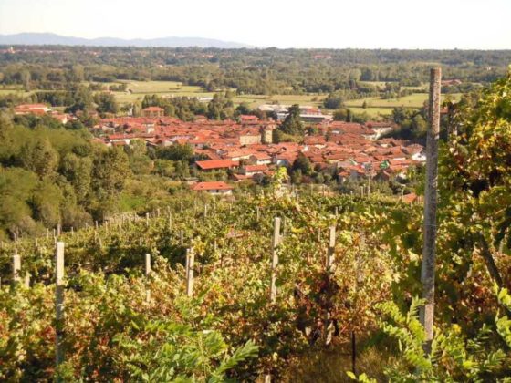 LEVONE - “Provincia Incantata” a Levone, il paese delle “Masche” e tra i vigneti del Freisa ad Andezeno